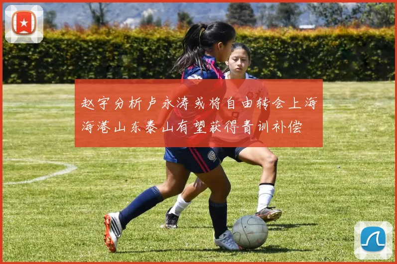 赵宇分析卢永涛或将自由转会上海海港山东泰山有望获得青训补偿