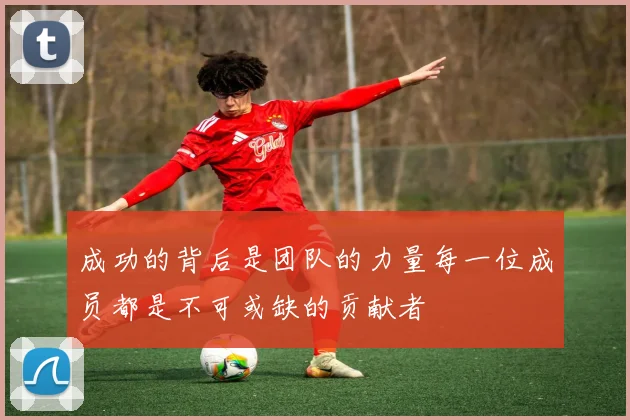 成功的背后是团队的力量每一位成员都是不可或缺的贡献者